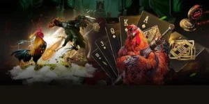 Bí Kíp Chơi Đá Gà GA28 ThienHaBet Dễ Thắng Cho Người Mới Bắt Đầu