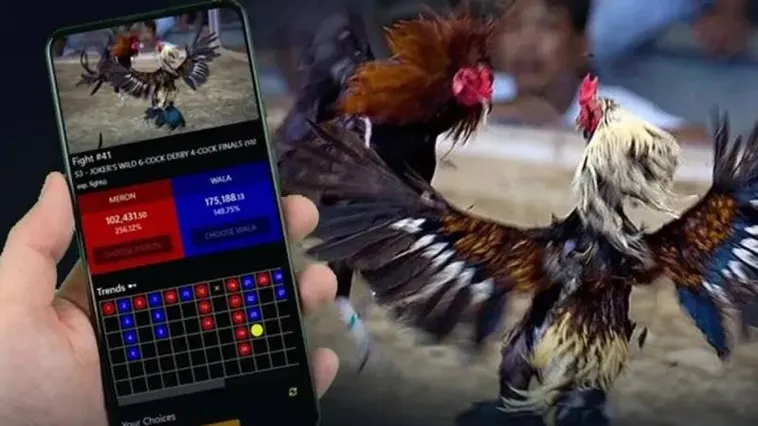 Bí Quyết Thắng Lớn Đá Gà ThienHaBet Hấp Dẫn Nhất 2025 1 Bí Quyết Thắng Lớn Đá Gà ThienHaBet Hấp Dẫn Nhất 2025