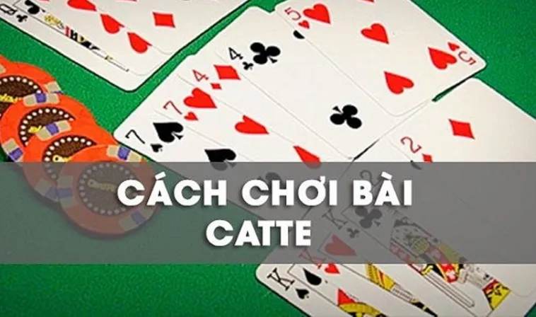 Hướng Dẫn Chơi Sắc Tê ThienHaBet Dễ Thắng Cho Người Mới Bắt Đầu